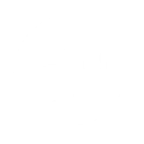 PRS-Physiotherapie Rebecca Sandberg – Icon Gelenk