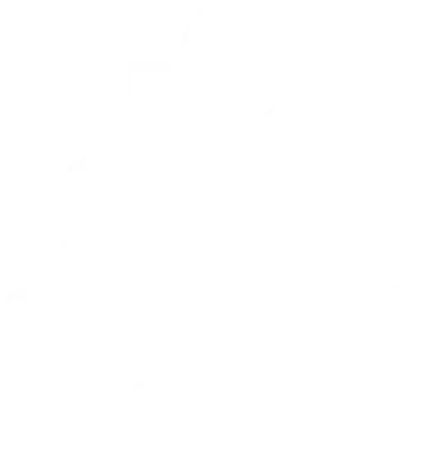 PRS-Physiotherapie Rebecca Sandberg – Icon Massage