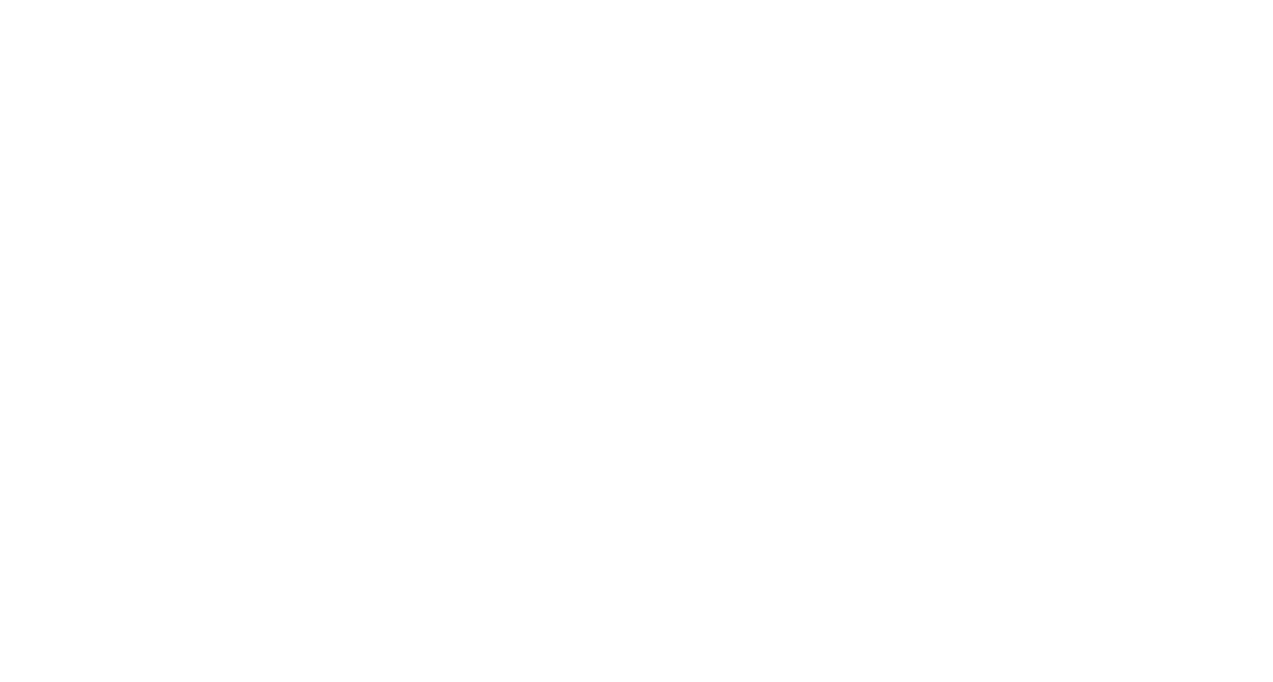 Logo PRS-Physiotherapie Weiß