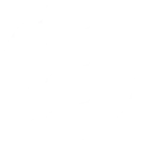 PRS-Physiotherapie Rebecca Sandberg – Icon Wirbelsäule