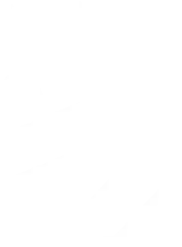 PRS-Physiotherapie Rebecca Sandberg – Icon Fuss mit Gips